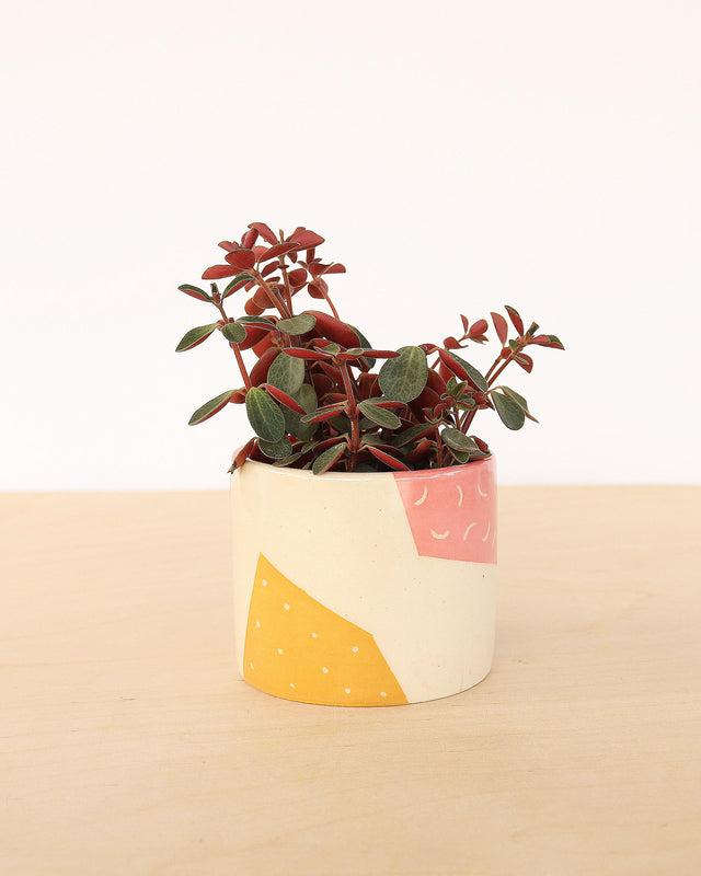 Pieces Planter-Nightshift Ceramics-Crying Out Loud