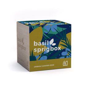 Basil Grow Kit-Sprigbox-Crying Out Loud