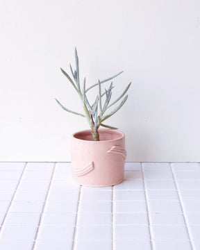 Deco Planter-Nightshift Ceramics-Crying Out Loud